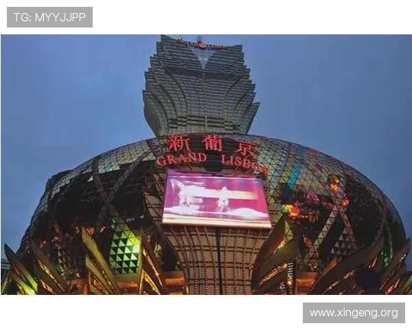 澳门新葡京在线登录技术保障措施，提供稳定安全的游戏平台环境