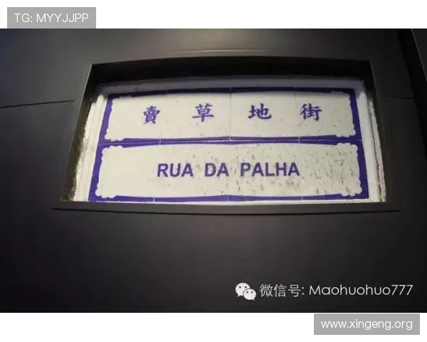 澳门葡京集团会员注册常见问题及解决方案全面解析帮助用户顺利注册