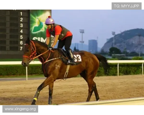 全面掌握澳门赛马会赛事资讯,助你精准把握赛马比赛的最新动态 全面掌握澳门赛马会赛事资讯,助你精准把握赛马比赛的最新动态