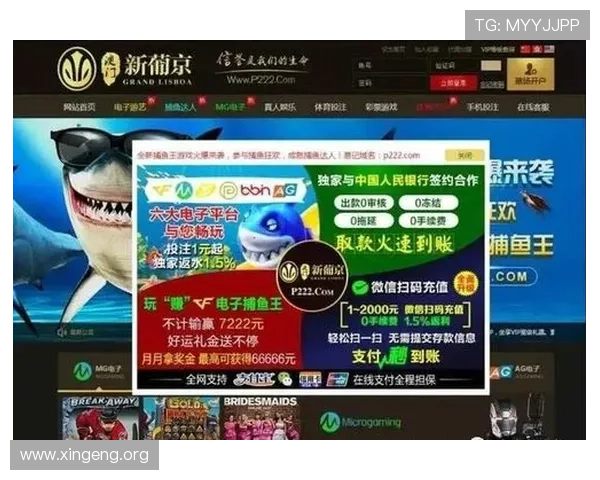 新葡京官网app官方正版下载渠道推荐，确保每一次游戏都安全可靠